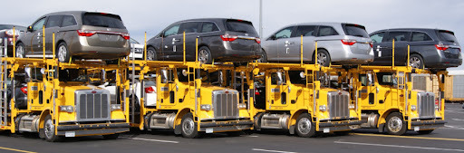 Professional Auto Transport