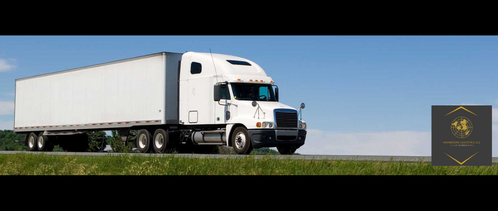 Havmoore Logistics LLC