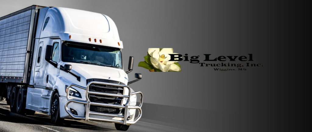 Big Level Trucking Inc