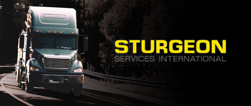 Sturgeon Services International, Inc.