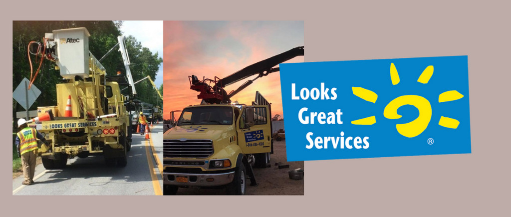 Looks Great Services