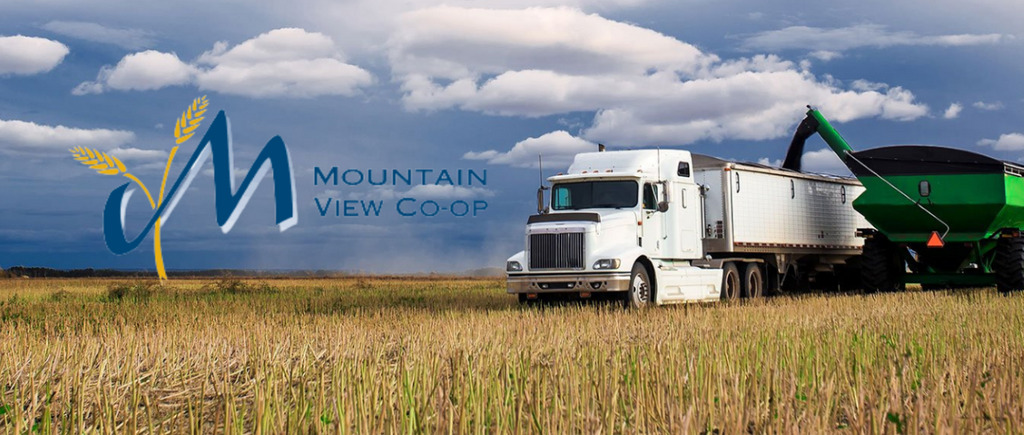 Mountain View Co-op