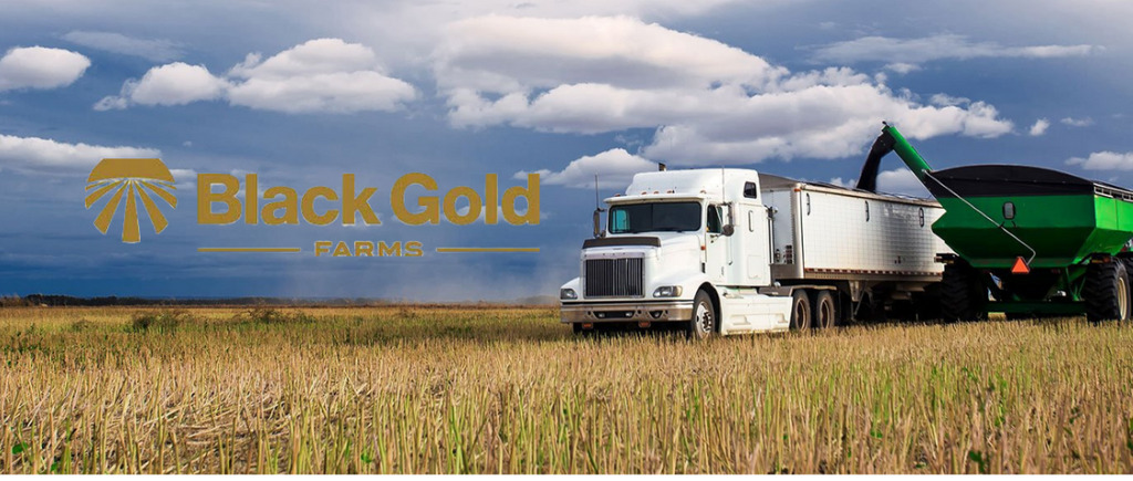 Black Gold Farms Inc.