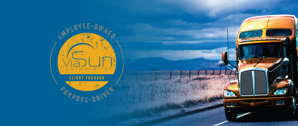 ViaSun Corporation Inc