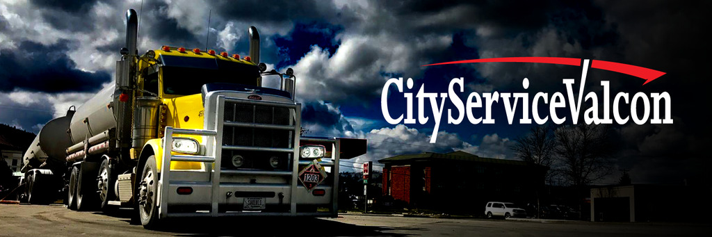 CityServiceValcon