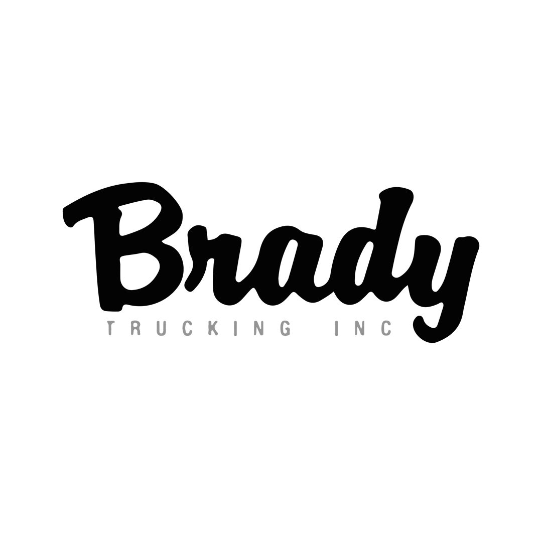 Brady Trucking logo